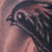 Tattoos - black fire bird - 31189